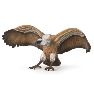Vögel