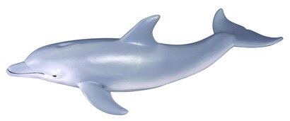Collecta Zeedieren