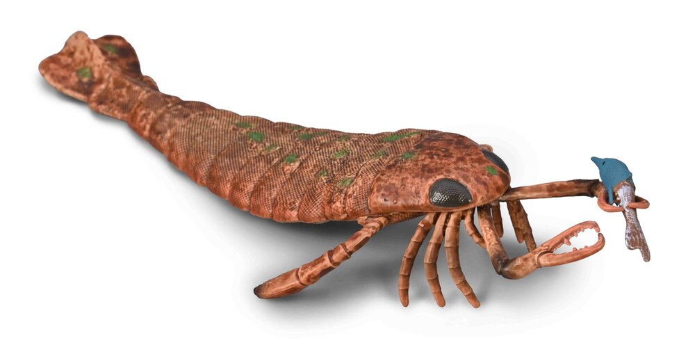 Collecta 80030 Jaekelopterus