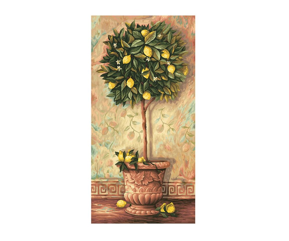 Citroenboom - Schipper 40 x 50 cm