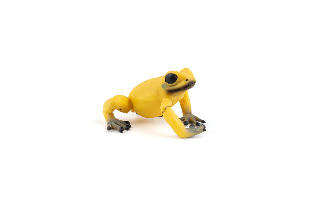 Papo 50174 Equatoriale gele Kikker