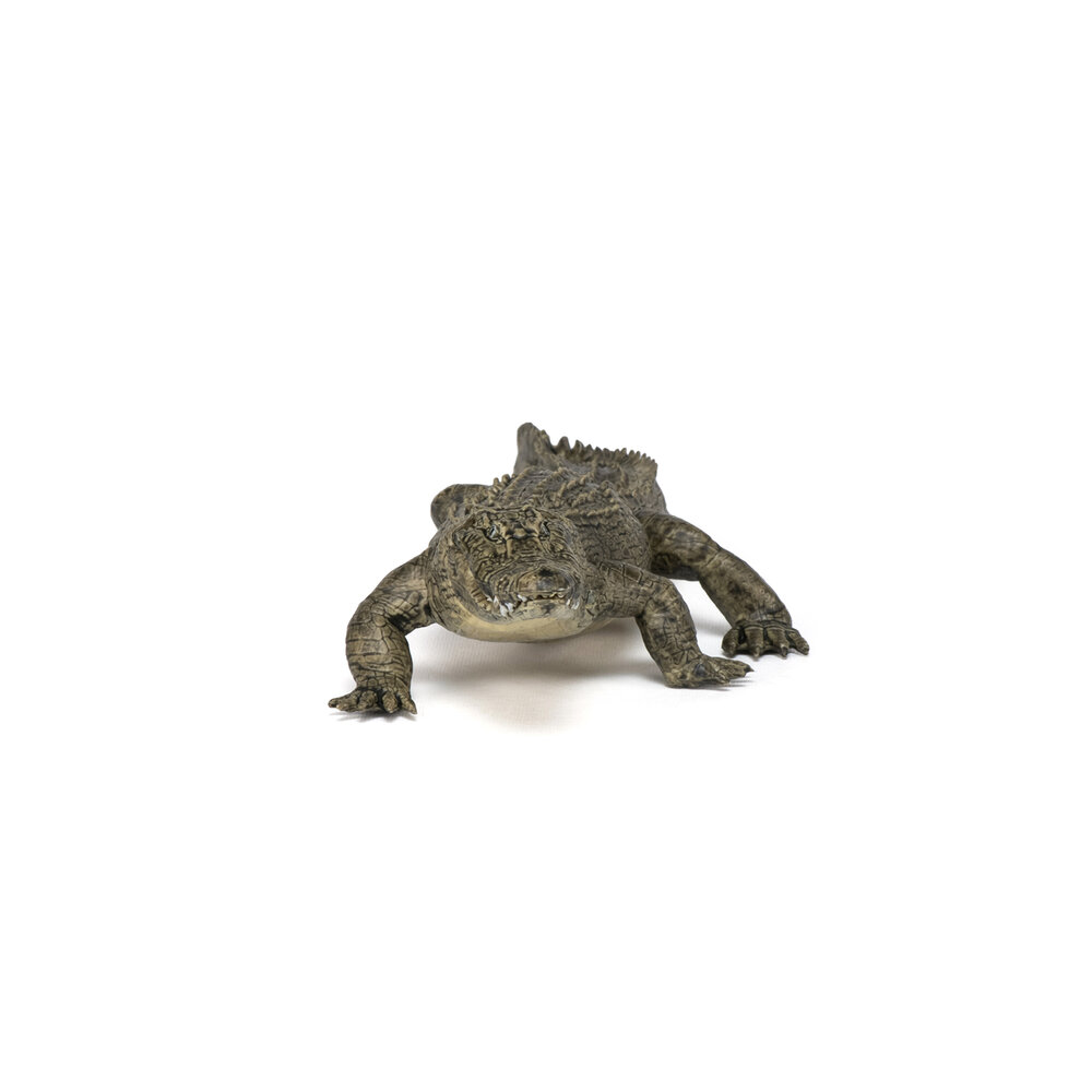Papo 50254 Alligator