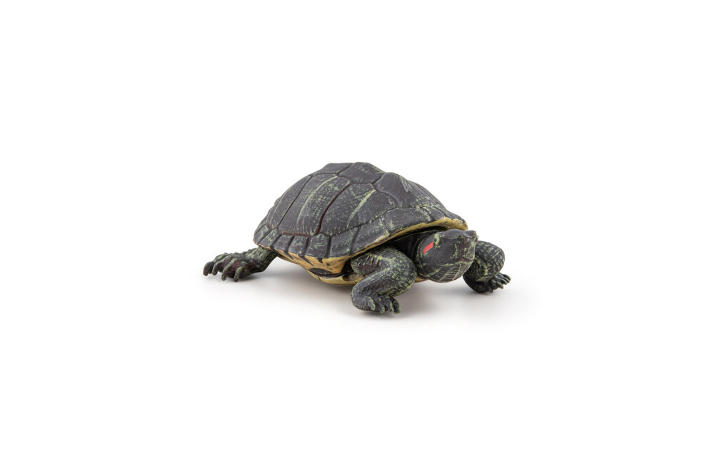 Papo 50309 Florida Schildpad