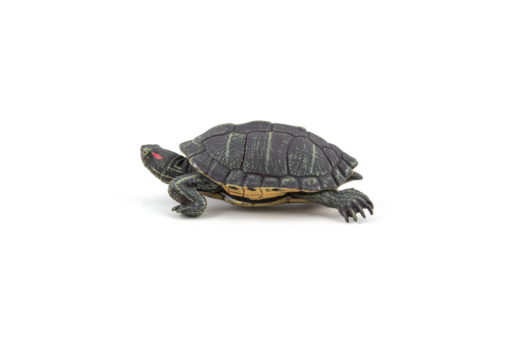 Papo 50309 Florida Schildpad