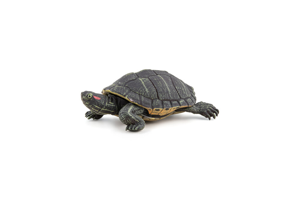 Papo 50309 Florida Schildpad