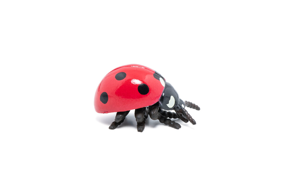 Papo 50257 Lieveheersbeestje