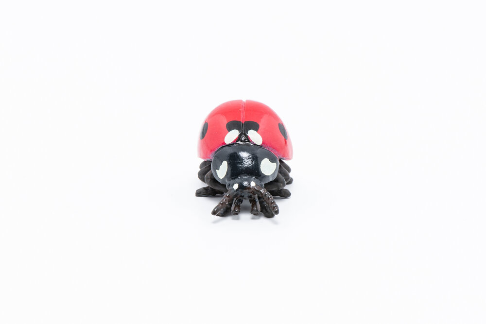 Papo 50257 Lieveheersbeestje
