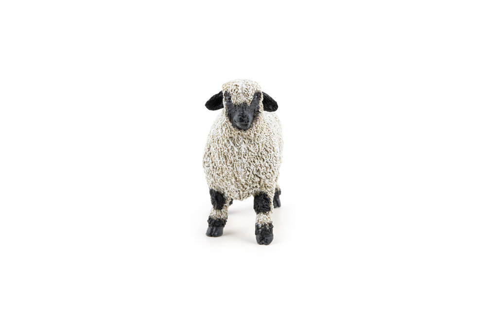 Papo 51194 Walliser zwartneusschaap