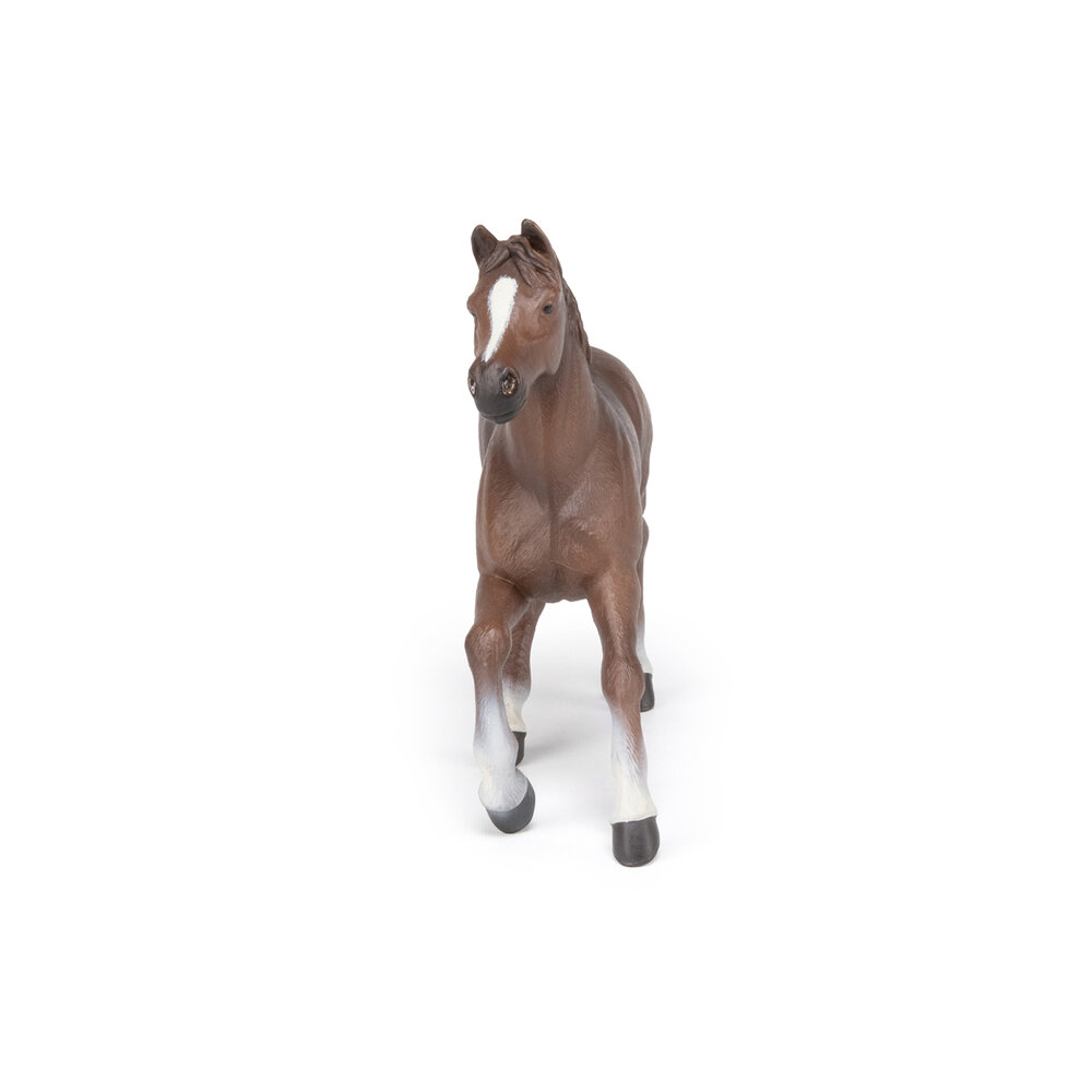 Papo 51075 Anglo-Arabisch merrie