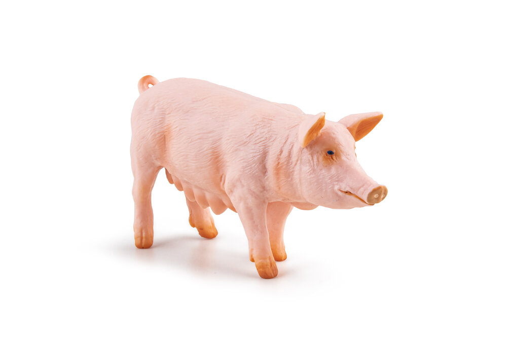 Papo 51188 Zeug (Varken)