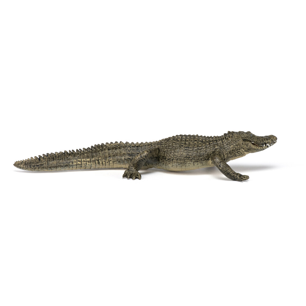 Papo 50254 Alligator