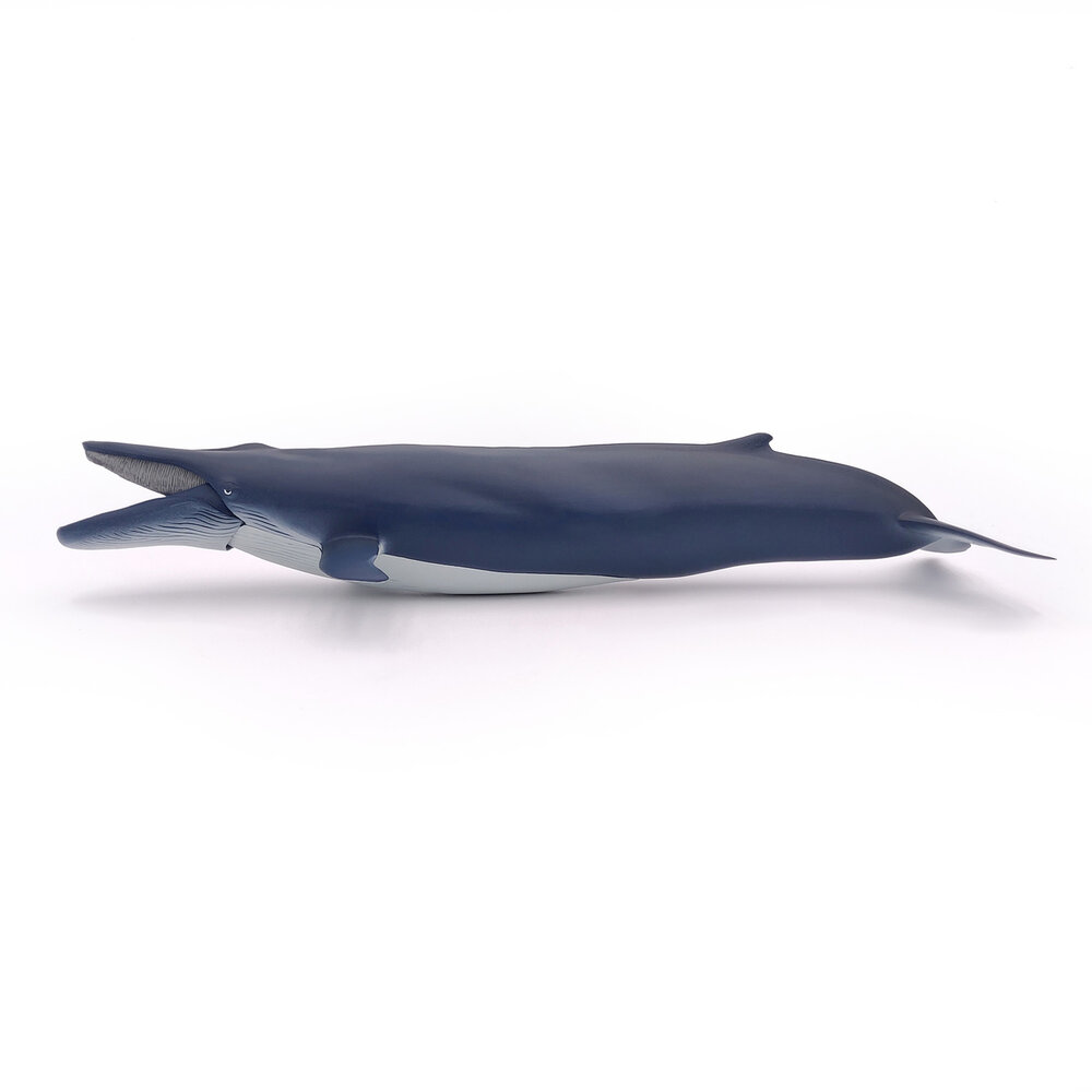 Papo 56037 Blauwe Walvis