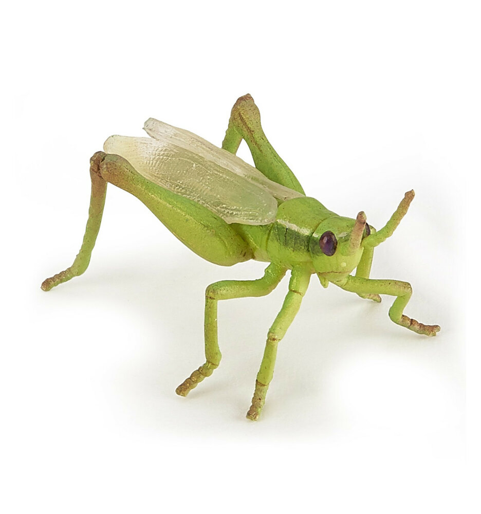 Papo 50268 Sprinkhaan