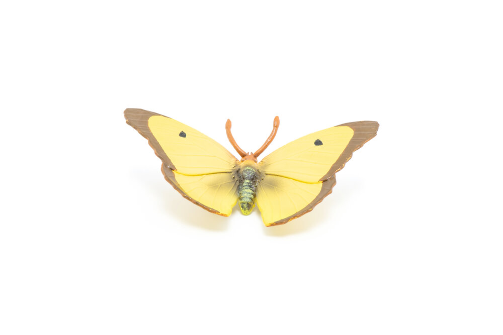 Papo 50288 Gele Vlinder