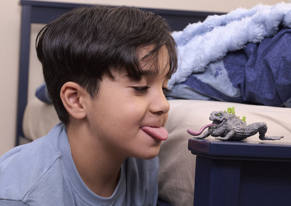 Schleich 70857 Stenen Pad