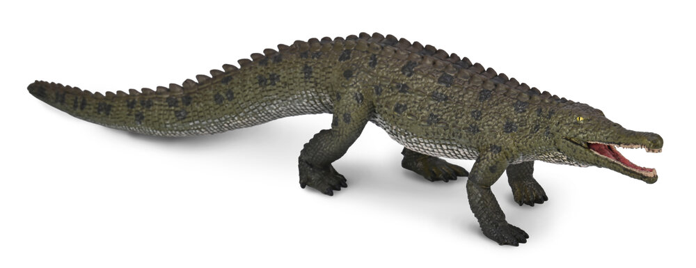 Colossosuchus techniensis with movable jaw van Collecta