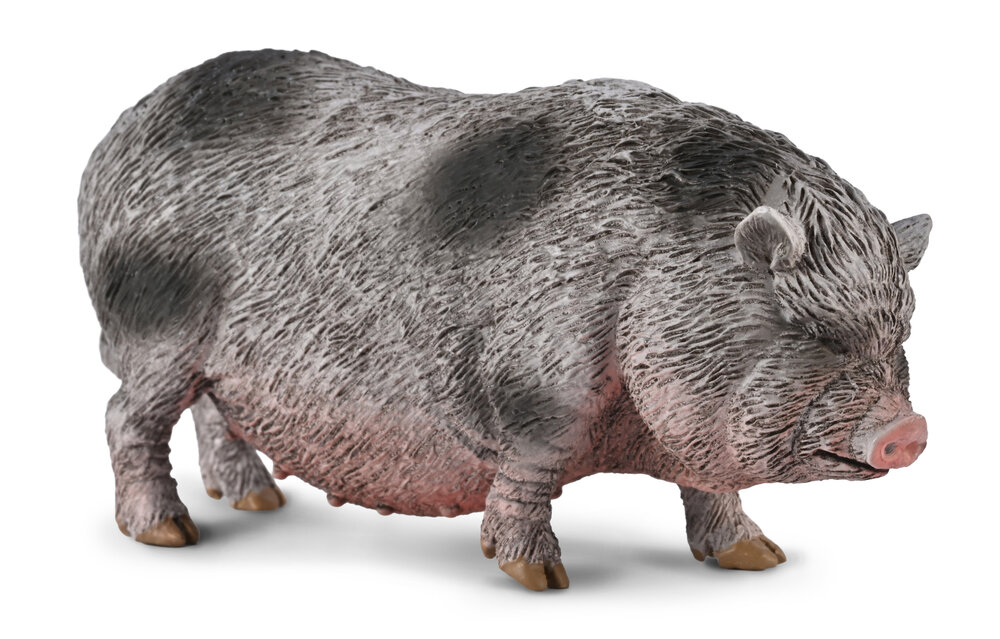Pot-bellied Pig van Collecta
