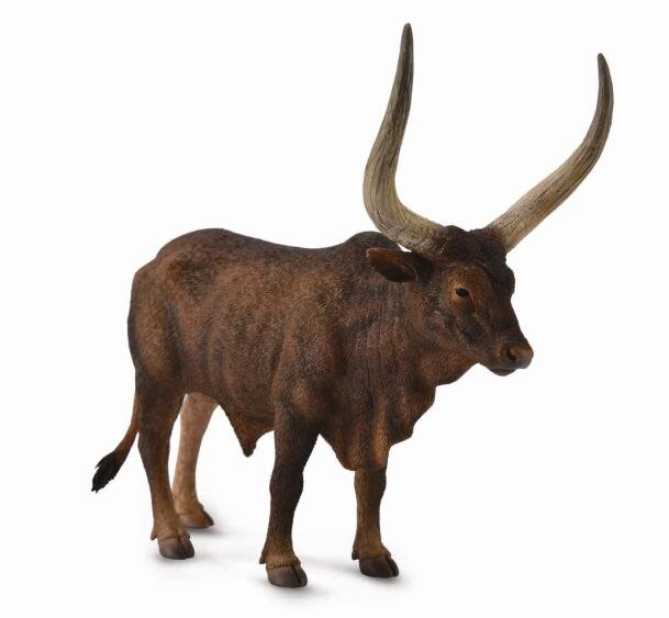 Ankole-Watusi Bull van Collecta