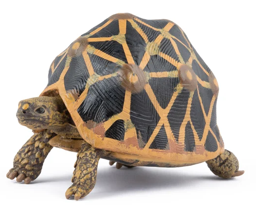 Papo 50333 Sterschildpad