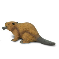 Safari 283629 Bever