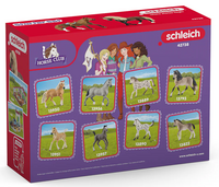 Schleich Paso Peruano starter set