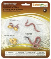 Safari 664016 Levenscyclus van de Regenworm