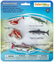 Safari 100267 Levenscyclus van een Zalm