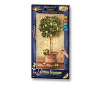 Citroenboom - Schipper 40 x 50 cm