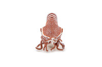 Papo 56061 Nautilus