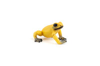 Papo 50174 Equatoriale gele Kikker
