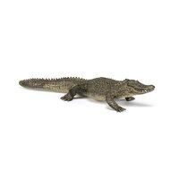 Papo 50254 Alligator