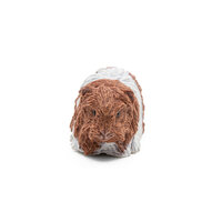 Papo 50276 Cavia