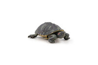 Papo 50309 Florida Schildpad