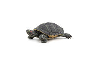 Papo 50309 Florida Schildpad