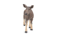 Papo 50310 Eland