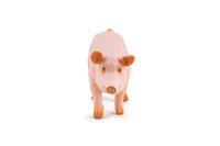 Papo 51188 Zeug (Varken)