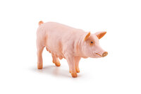 Papo 51188 Zeug (Varken)