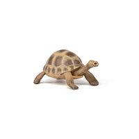 Papo 50264 Griekse landschildpad