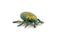 Papo 50290 Gouden kever