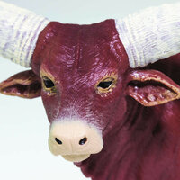 Safari 100202 Watusirund