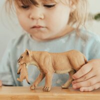 Safari 225229 Leeuwin met jong