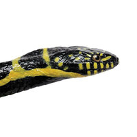 Safari 257929 Koningsslang