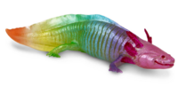 Safari 110487 Regenboog Axolotl