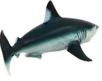 Safari 110345 Haringhaai