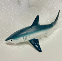 Safari 110345 Haringhaai