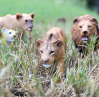 Safari 104992 Adolescente Leeuw