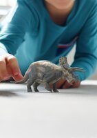 Schleich 15050 Triceratops