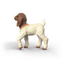 Schleich 14930 Boergeitenjong