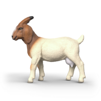 Schleich 14929 Boergeit
