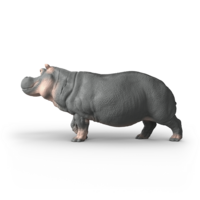 Schleich 14938 Nijlpaard